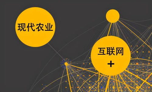 農業與互聯網交錯 社交電商為農村經濟發展賦能與網絡技術領域的拓展